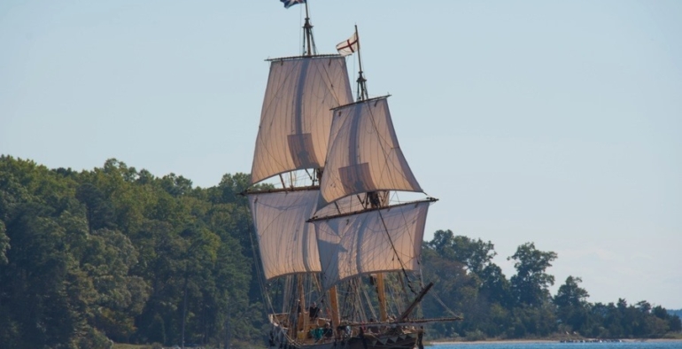 Il tesoro del capitano
